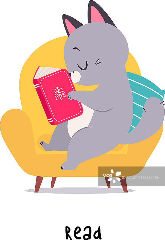 有趣的灰色猫咪阅读关于英语动词的书图片素材