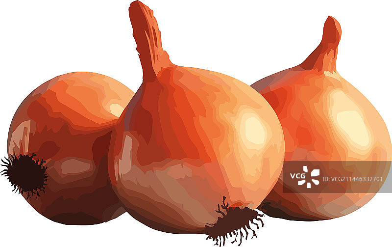 适合健康饮食的成熟洋葱蔬菜图片素材