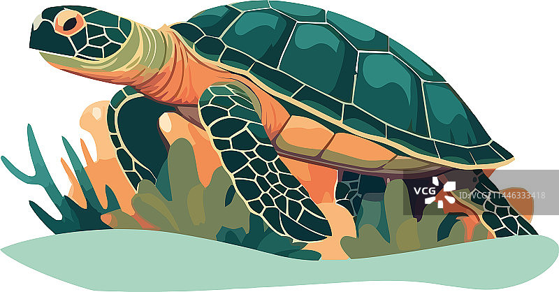 可爱的海龟吉祥物缓慢爬行图片素材