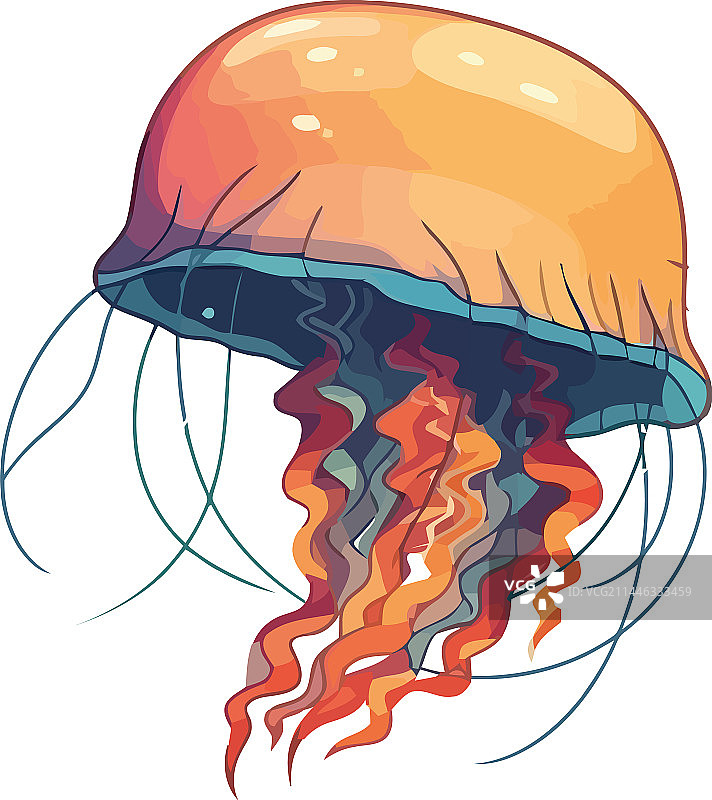 危险的水母海洋生物热带动物图片素材