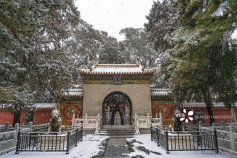 冬天大雪中的北京故宫御花园雪景图片素材