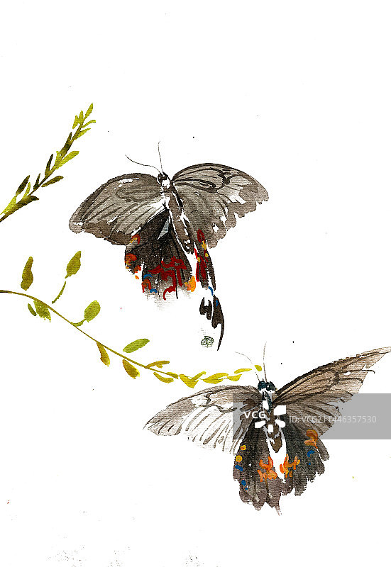 飞舞的蝴蝶图片素材