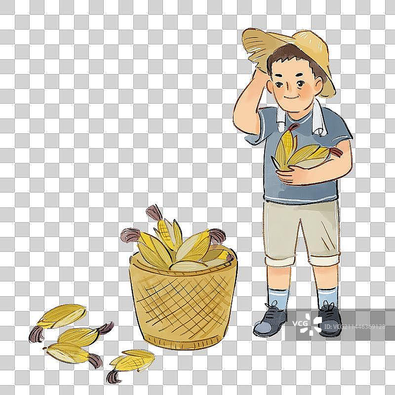 玉米丰收的男性图片素材