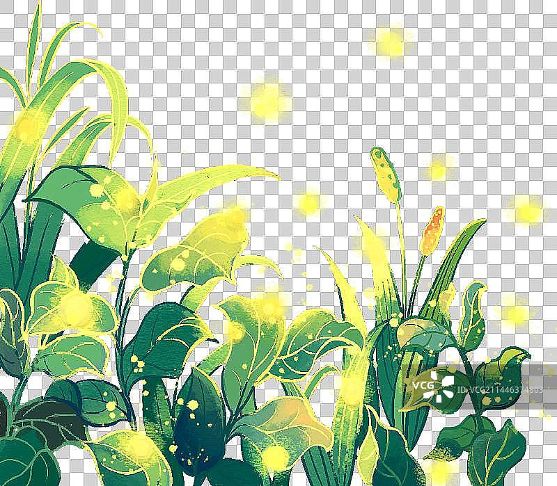 草丛中的萤火虫图片素材