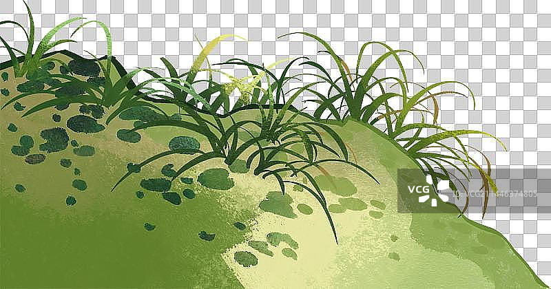 草地特写图片素材