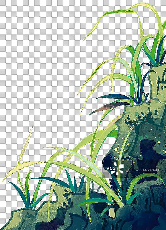 长着兰草的假山边框图片素材