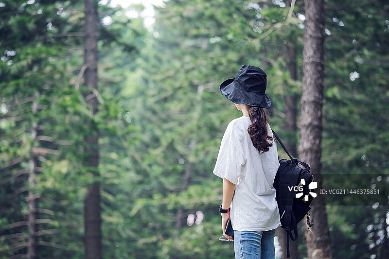 森林郊游使用手机拍摄的女生图片素材