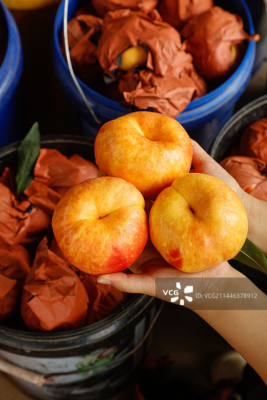 手里拿着黄油蟠桃图片素材