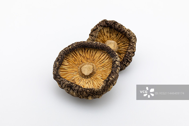 白色背景下干香菇特写图片素材