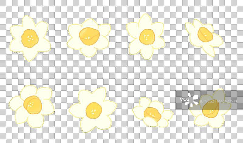 水仙花花瓣手绘插画图片素材