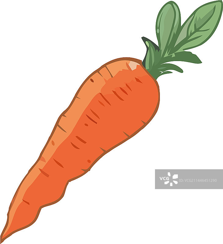 新鲜有机胡萝卜图片素材