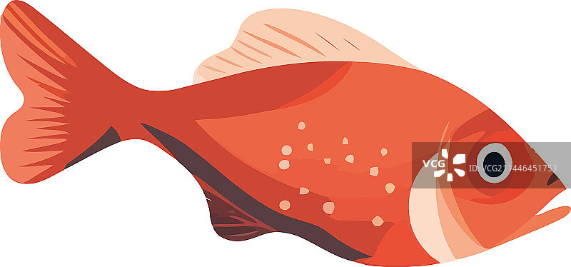 金鱼游泳设计图片素材