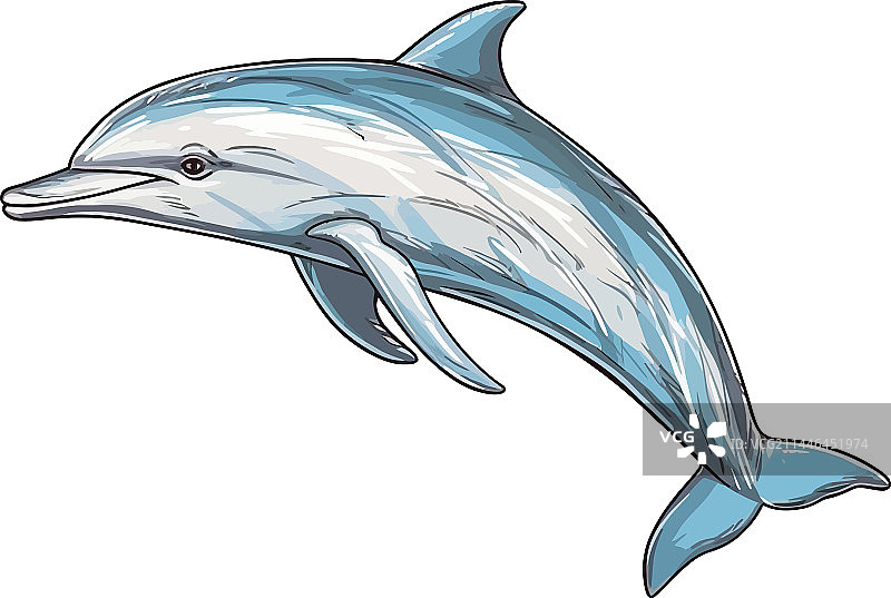 可爱的海豚跳跃图片素材
