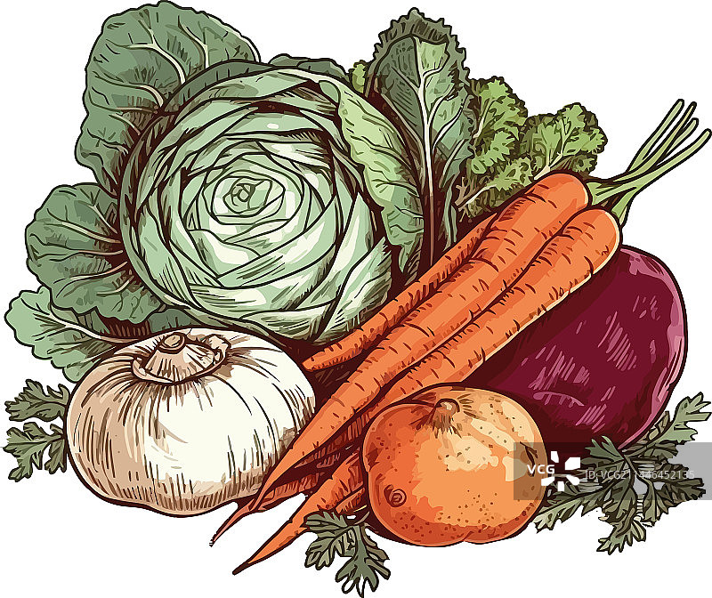 花园里的新鲜蔬菜图片素材