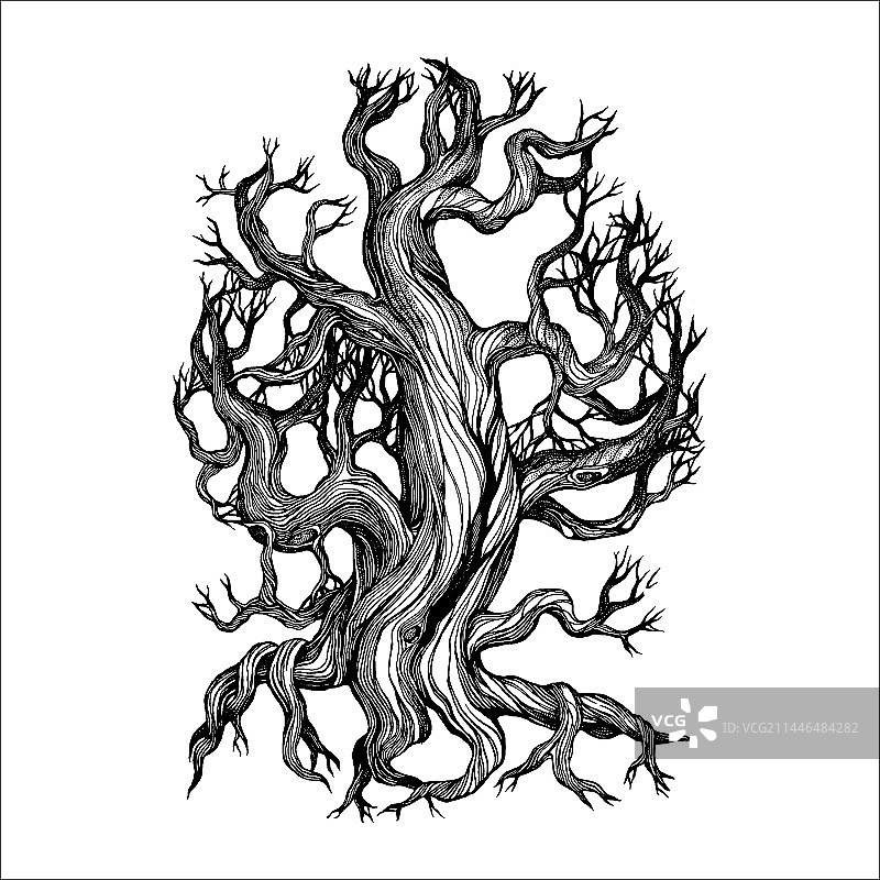 手绘松树森林图片素材