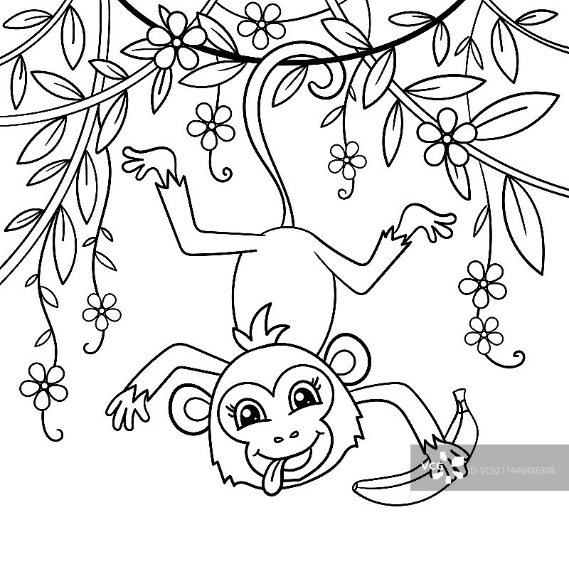 黑白线条的香蕉猴子图片素材