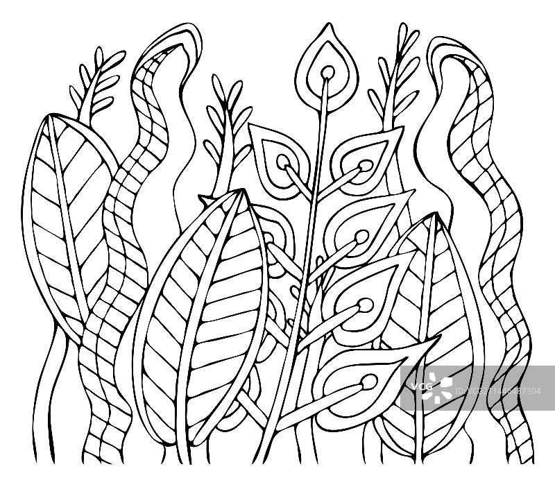 植物草叶手绘涂色书图片素材