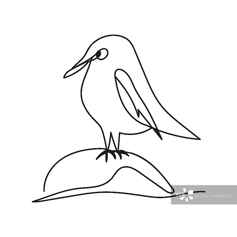鸟坐在石头上线条艺术图片素材