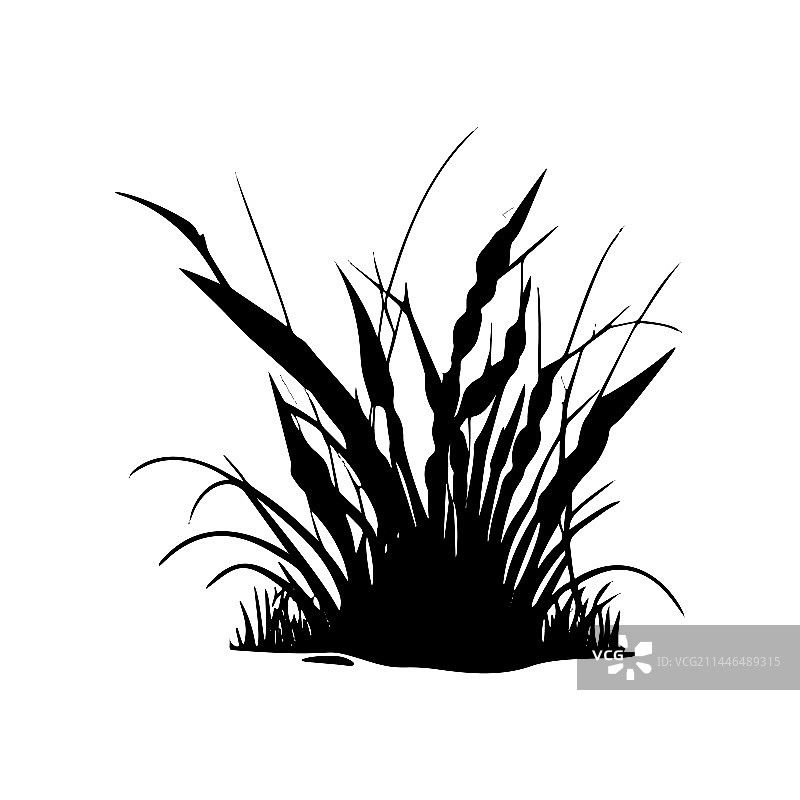 植物学草地剪影图片素材