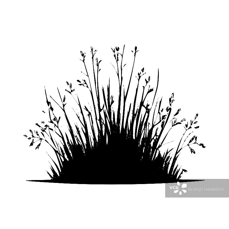 植物学草地剪影图片素材
