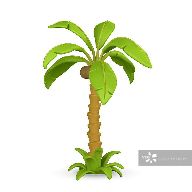 3D可爱卡通热带棕榈树图片素材