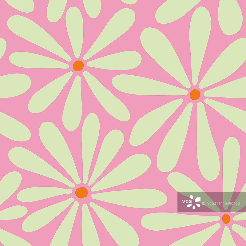 米色甘菊图片素材