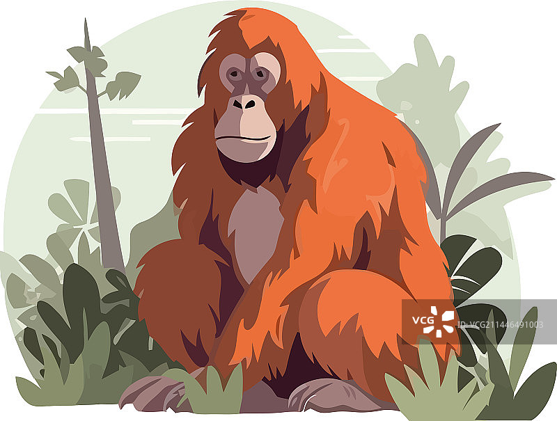 吃东西的幼年猩猩图片素材