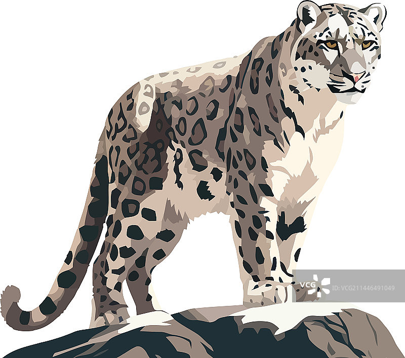 大型猎豹设计图片素材