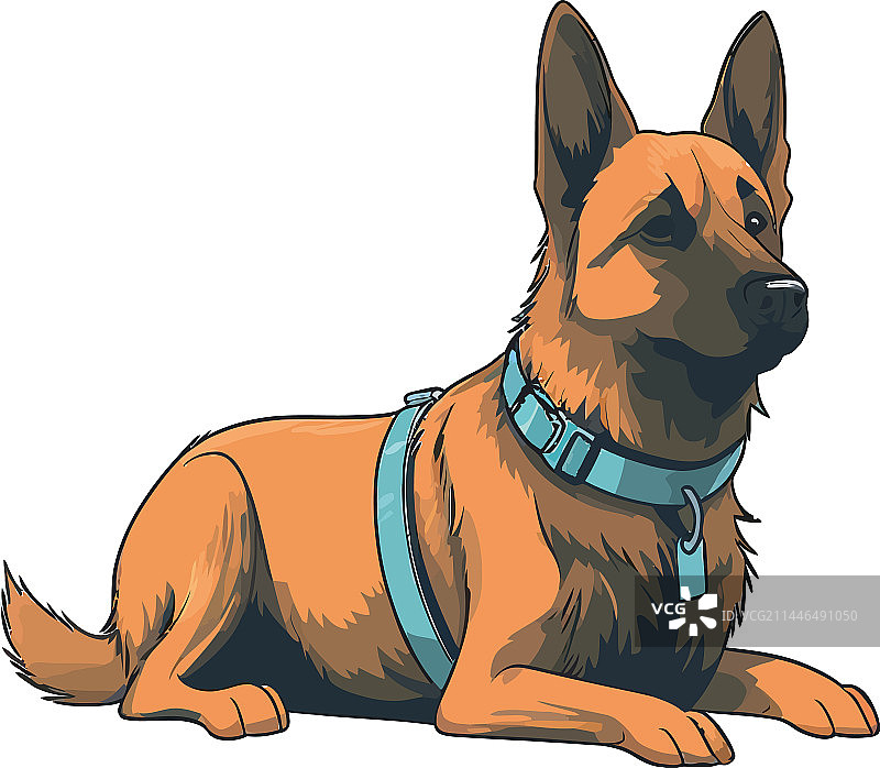 顽皮的小狗和忠实的朋友图片素材