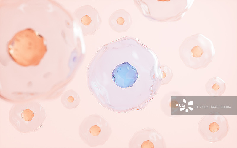 生物细胞结构生物科技概念3D渲染图片素材