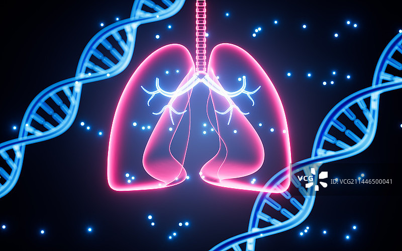 DNA 与人类肺部结构图3D渲染图片素材
