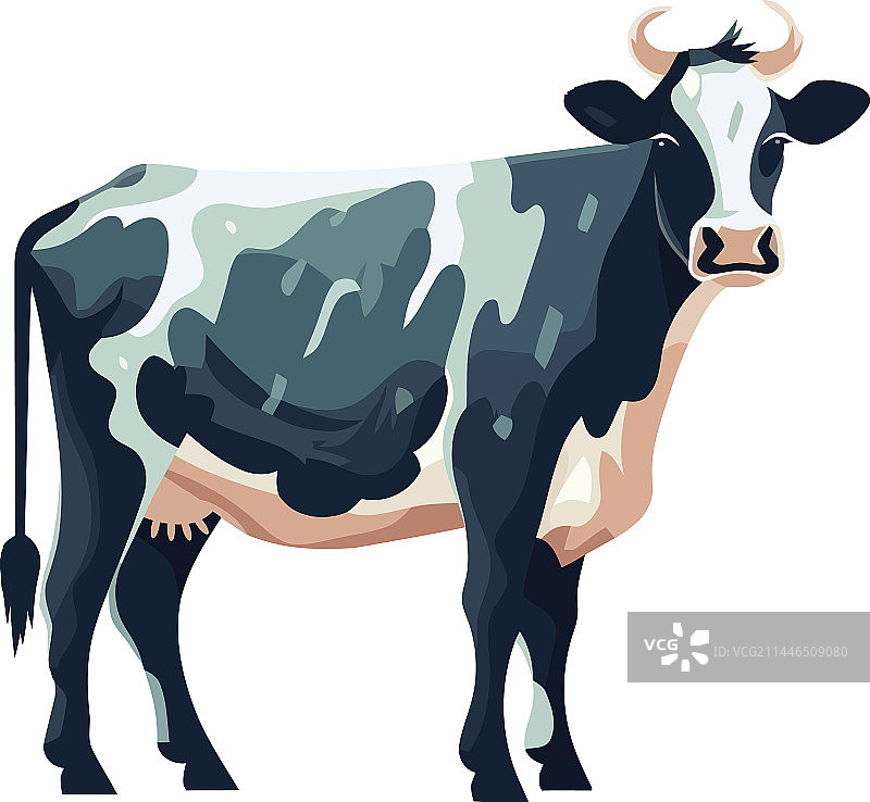 可爱的小母牛图片素材