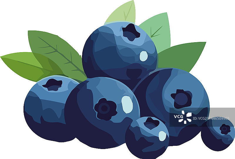 新鲜健康的成熟浆果图片素材