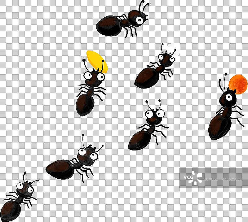 蚂蚁搬家纹理插画图片素材