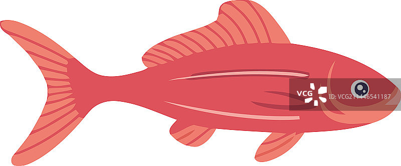 可爱小鱼游泳图片素材