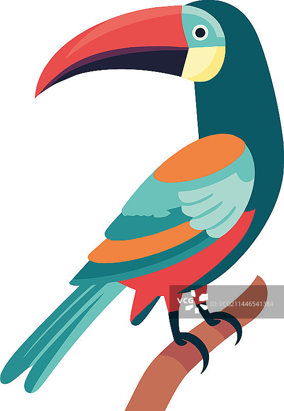 五彩巨嘴鸟设计图片素材