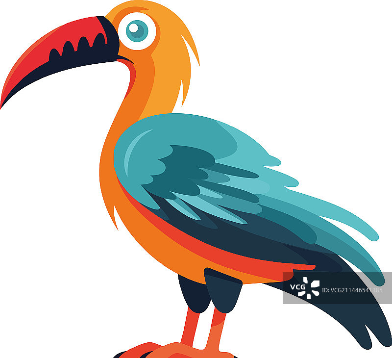 彩色巨嘴鸟设计图片素材