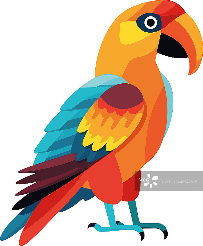 色彩鲜艳的金刚鹦鹉设计图片素材