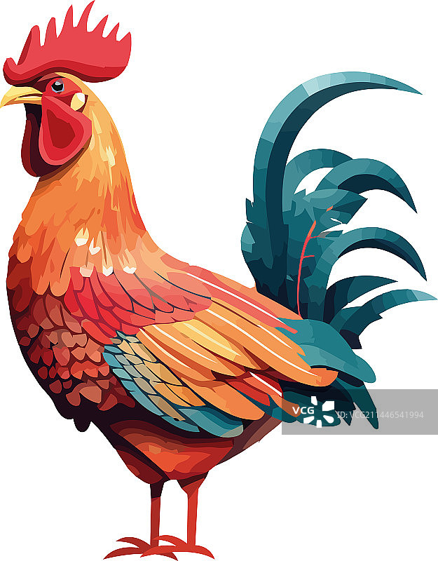 可爱站立的公鸡图片素材