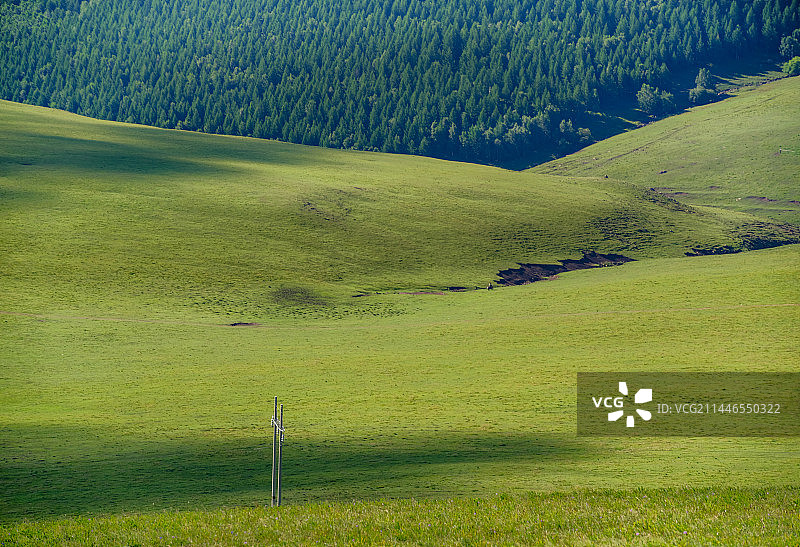 草原林场图片素材
