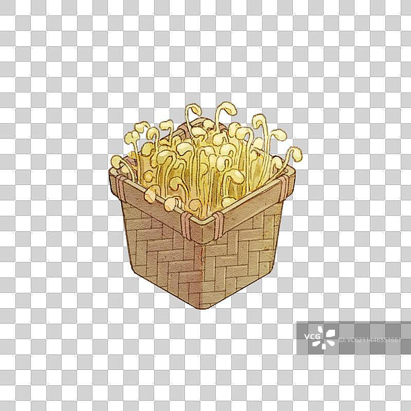 火锅菜单系列豆芽图片素材