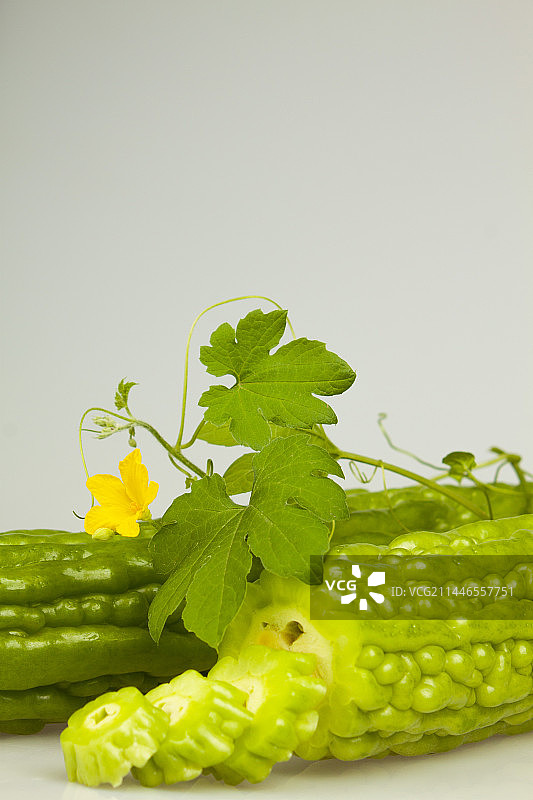 天然有机苦瓜开花结果影棚拍摄图片素材