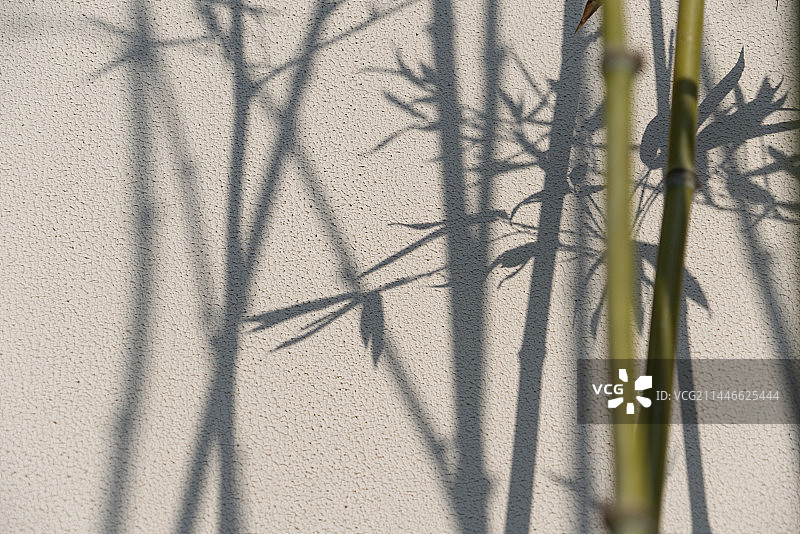 竹子影子传统中式山水画意境图片素材