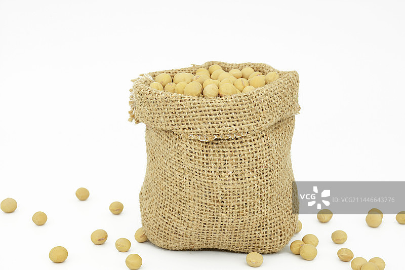 黄豆白色背景图片素材