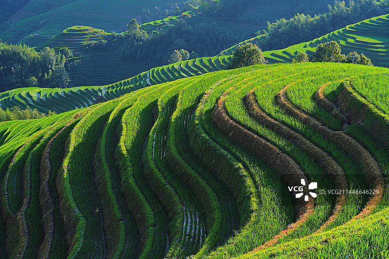 桂林梯田图片素材