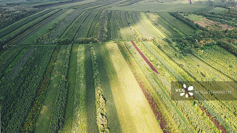 航拍夏天的东北平原图片素材