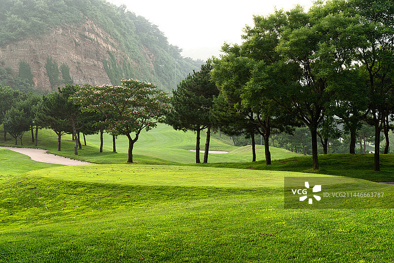 高尔夫球场图片素材