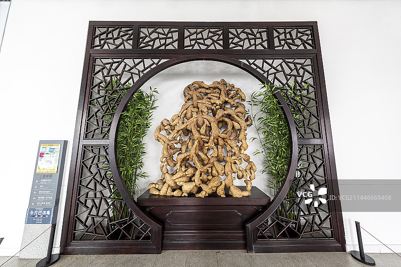 北京中国园林博物馆：江山形胜——竹鞭（竹鞭是指竹子细长的地下茎，横走于底下，外形似姜，故取谐音江山）图片素材