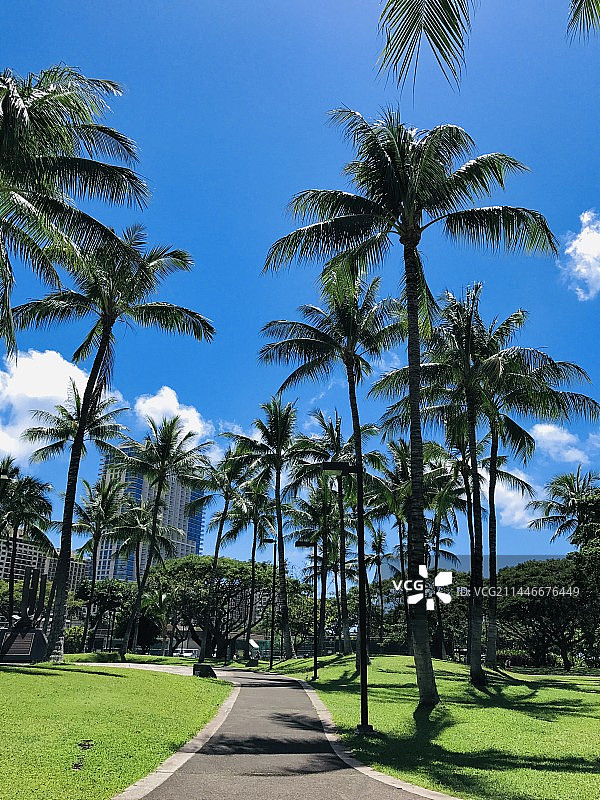 夏威夷威基基图片素材