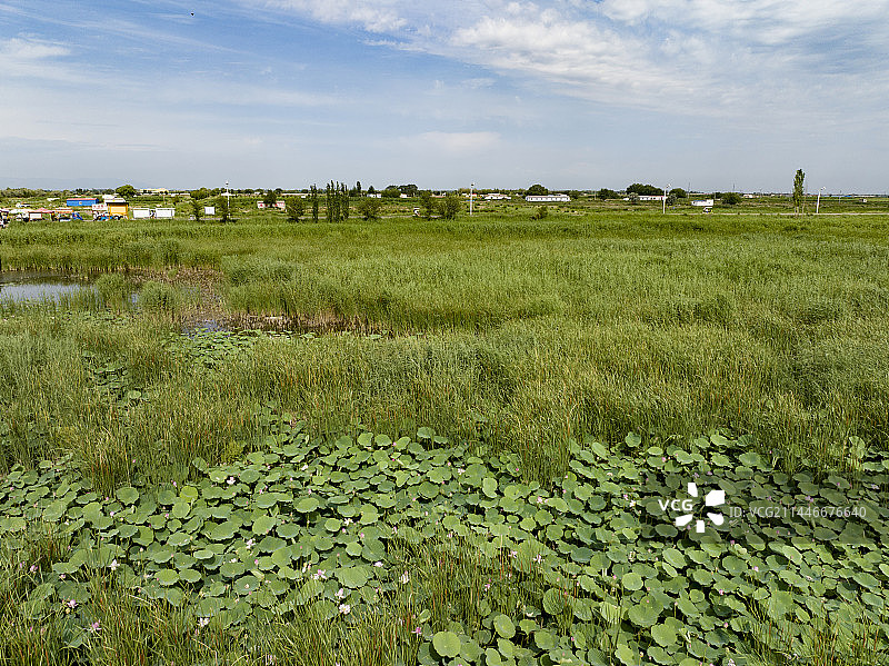 阴山脚下哈素海图片素材